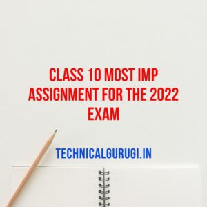 Class 10 Most Imp Assignment For the 2022 Exam